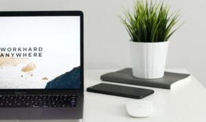 laptop and little plant on desk